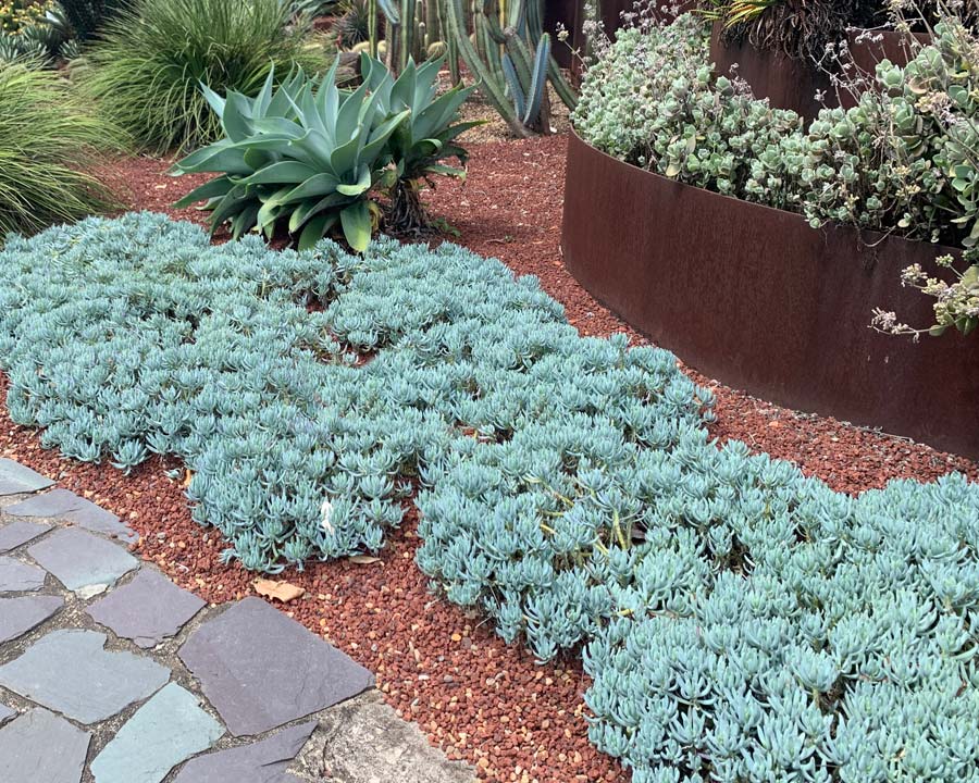 Blue Chalksticks
